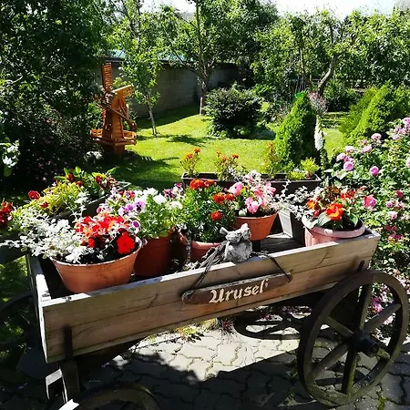 Urusel Guesthouse 3*